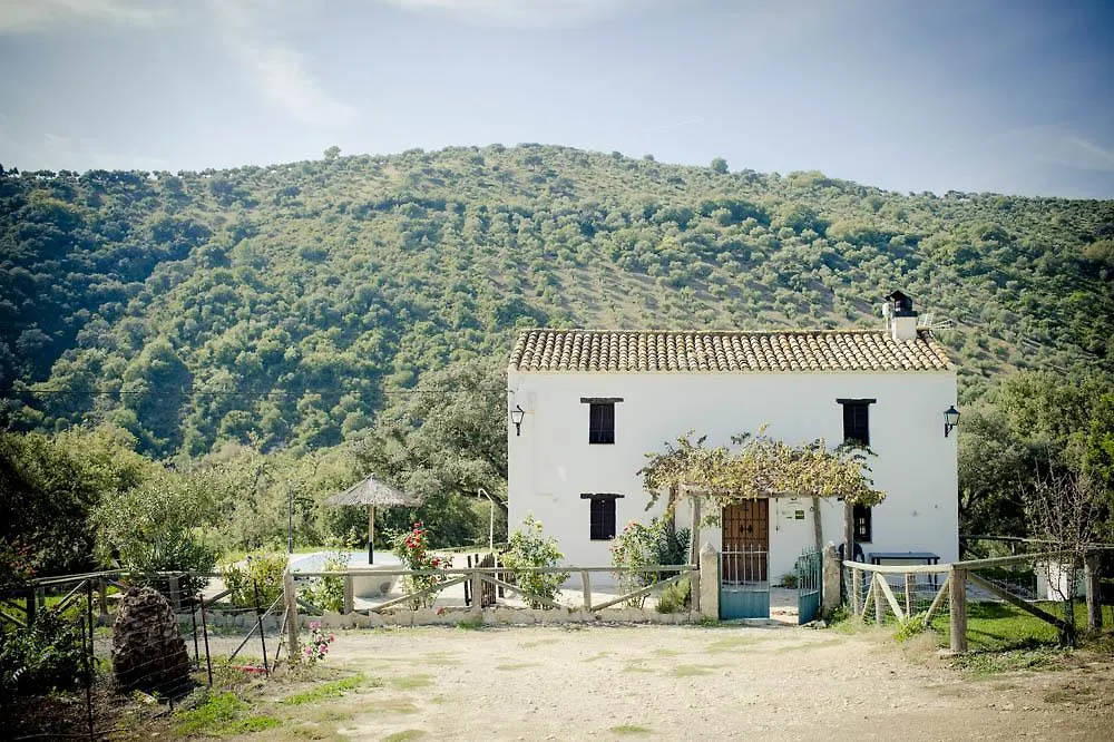 Country house Rancho Calvillo Guest House Prado Del Rey Spain